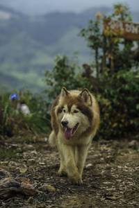 BIB: 
                            <button type="button" onclick="openModal(24763402)" class="btn btn-primary btn-sm float-right btn-popup" data-toggle="modal" data-target=".modal-high-quality">
                        <i class="fas fa-shopping-cart"></i> Add to Cart
                    </button>
                                            <button type="button" onclick="isThisMe(24763402, true)" class="btn btn-success btn-sm float-right btn-popup btn-isme hidden" data-toggle="tooltip" data-placement="bottom" title="นี่คือรูปของคุณใช่ไหม คลิกที่นี่เพื่อเอาเข้าอัลบั้ม">
                        <i class="fas fa-plus"></i> Add to album
                    </button>
                    <button type="button" onclick="isThisMe(24763402, false)" class="btn btn-warning btn-sm float-right btn-popup btn-isnotme hidden">
                        <i class="fas fa-ban"></i> Remove from album
                    </button>